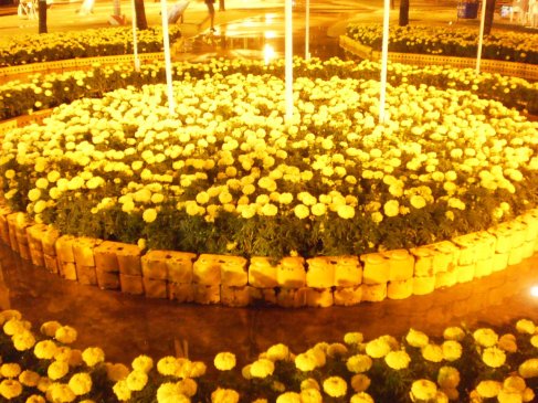 commemorating the birthday of the King of Thailand in Phuket commemorating the birthday of the King of Thailand in Phuket