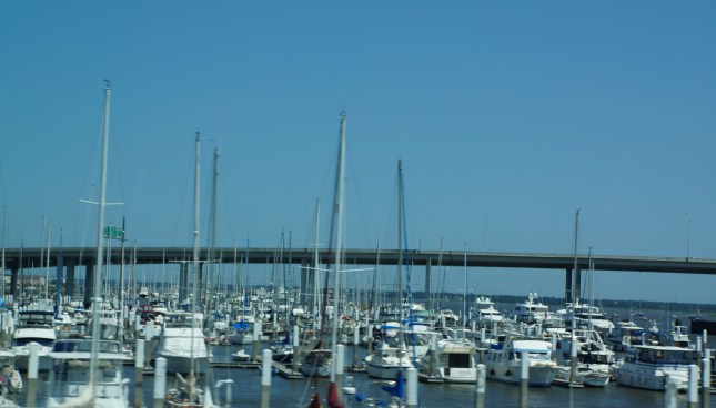 The marina in Charleston, South Carolina. The marina in Charleston, South Carolina.