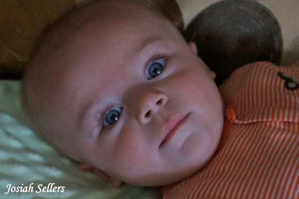 My nephew, Josiah Sellers.