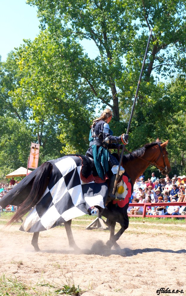 Knight in shining armor during a joust at Michigan Renaissace Faire 2012 in Holly, Michigan. Knight in shining armor during a joust at Michigan Renaissace Faire 2012 in Holly, Michigan.