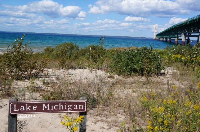 Lake Michigan with Mackinac Bridge as the background.