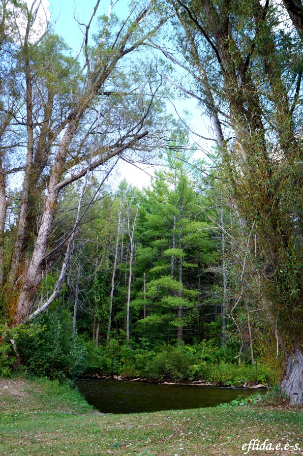 View of Sturgeon River from Wolverine Village Park in Michigan.