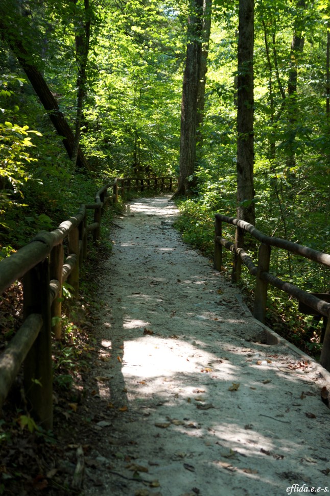 One of the hiking trails at Natural Bridge State Park in Kentucky, USA.