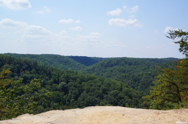 East view while standing on top of the natural bridge in Kentucky, USA.