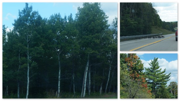 Random scenes around Northern Michigan. Random scenes around Northern Michigan.