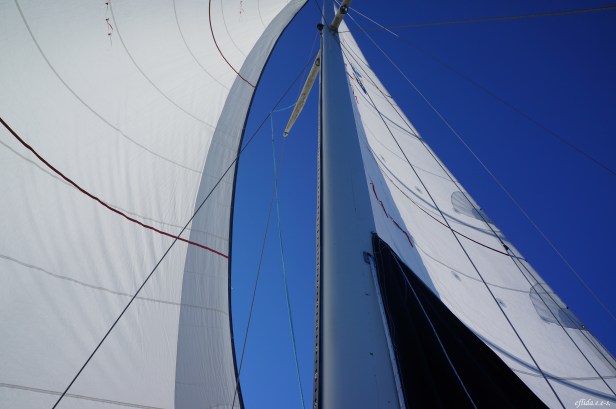 Cruising Neuse River in New Bern, North Carolina aboard the 43 foot sail Nirvana navigated by Captain Malinda Cayton. Cruising Neuse River in New Bern, North Carolina aboard the 43 foot sail Nirvana navigated by Captain Malinda Cayton.