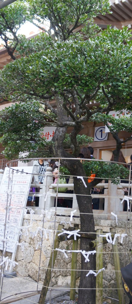 Omikuji, a written fortune on a white strip of paper folded lengthwise and tied onto the branches of a tree, in the Futenma shrine courtyard in Okinawa, Japan. Omikuji, a written fortune on a white strip of paper folded lengthwise and tied onto the branches of a tree, in the Futenma shrine courtyard in Okinawa, Japan.