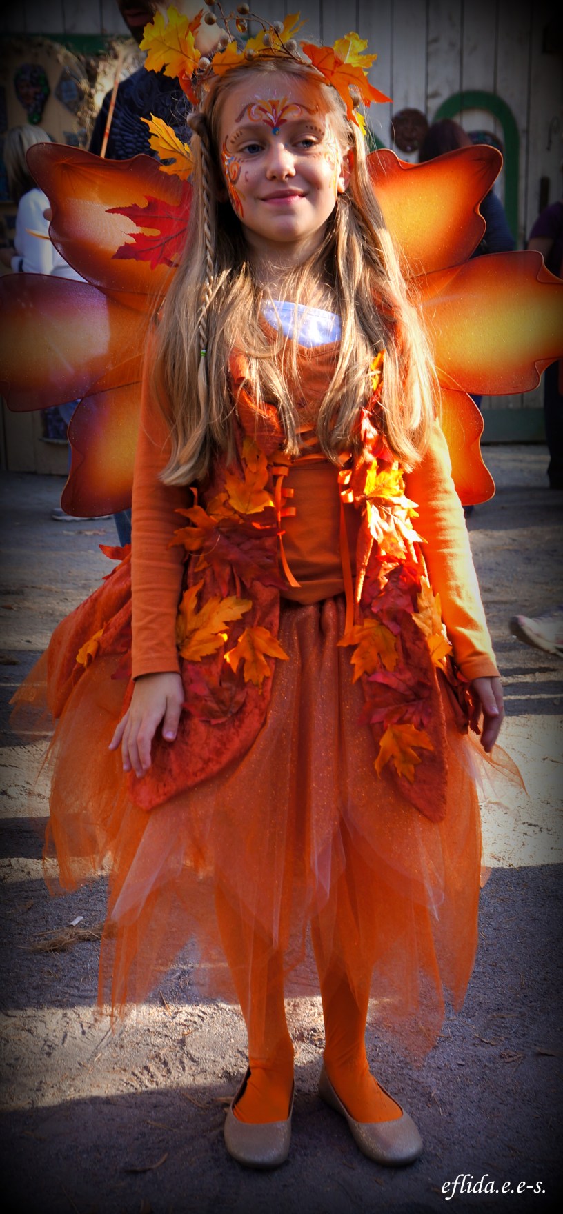 A lovely girl dressed as a fairy at Carolina Renaissance Faire 2012.