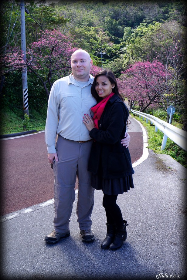 Cherry Blossom viewing at Mt. Yaedake, Motobui, Okinawa, Japan. Cherry Blossom viewing at Mt. Yaedake, Motobui, Okinawa, Japan.