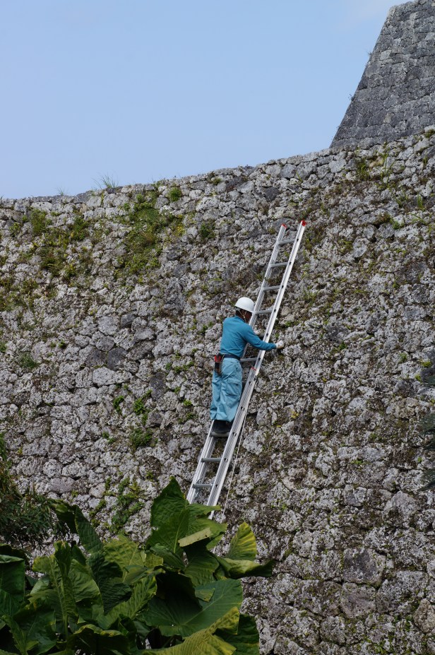 A worker doing some maintenance cleaning of the Zakimi castle ruins in Okinawa, Japan.