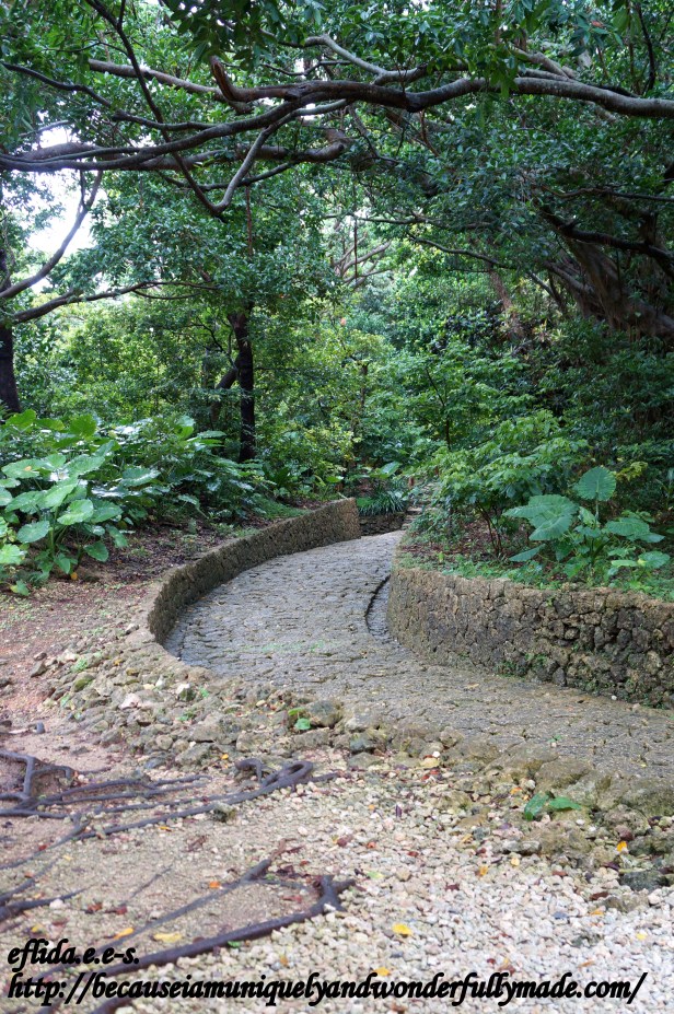 Some forested path at Shikinaen Gardens in Okinawa, Japan.