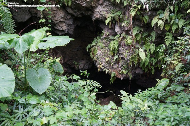 The Inagudo Cave or famously called the "female cave" is an attraction in the Valley of Gangala in Okinawa, Japan. Ancient Okinawans came here to pray for fertility