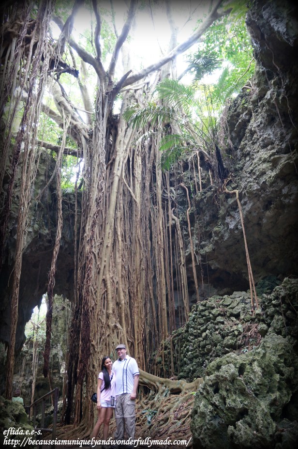 The 150-year-old banyan tree is one attraction in the Valley of Gangala in Okinawa, Japan. 