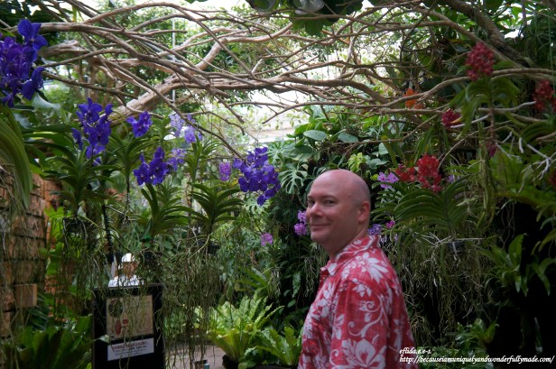 The Vanda Greenhouse inside the Tropical Dream Center at Ocean Expo Park in Motobu, Okinawa, Japan. Blue flowers or blue orchids can be viewed here.