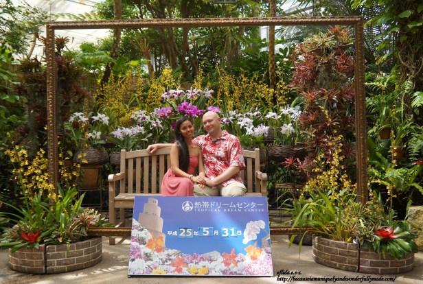 The Cattleya Greenhouse inside the Tropical Dream Center in Ocean Expo Park at Motobu, Okinawa, Japan. Fragrant Cattleyas or “Flower Queen” are in full bloom here.