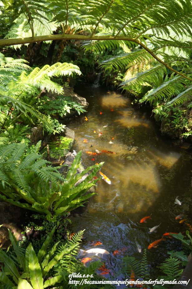 The Lounge offers a place for light snacks as you enjoy a view overlooking a koi pond in Tropical Dream Center at Ocean Expo Park in Motobu, Okinawa, Japan.