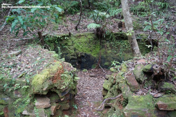 One of the charcoal pits spotted along the 1.5 kilometer trail to Hiji Falls in the northern part of Okinawa, Japan. 