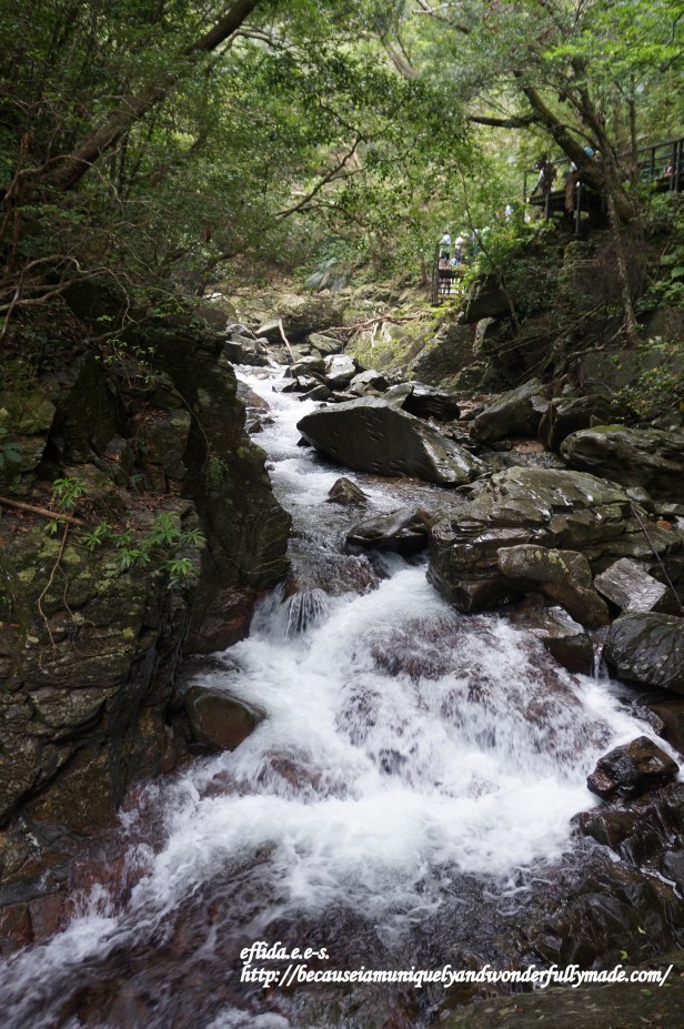The beautiful stretch of Hiji River in the northern part of Okinawa, Japan. 