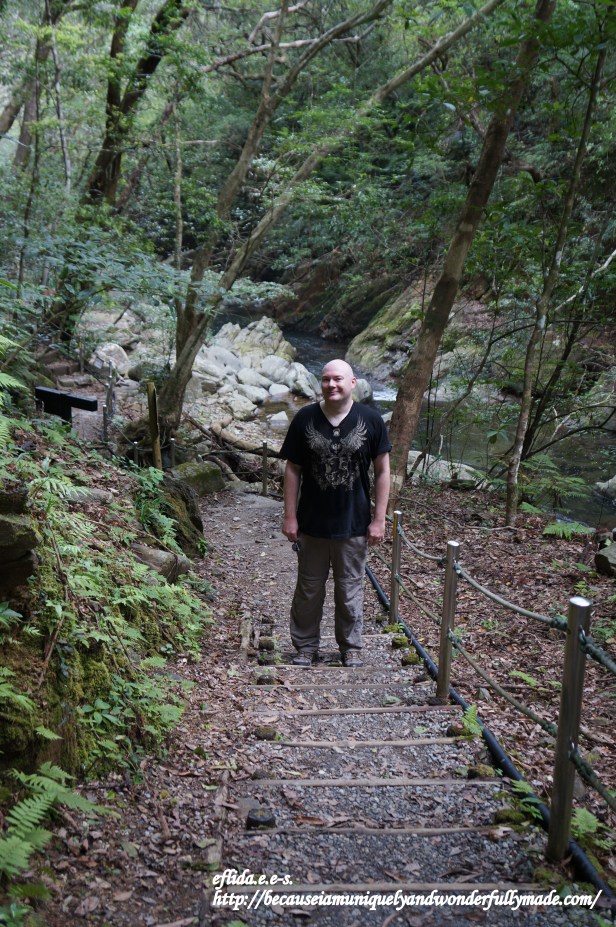 The staircases spread throughout the 1.5 kilometer trail to Hiji Falls is quite a challenge especially on a humid summer day.