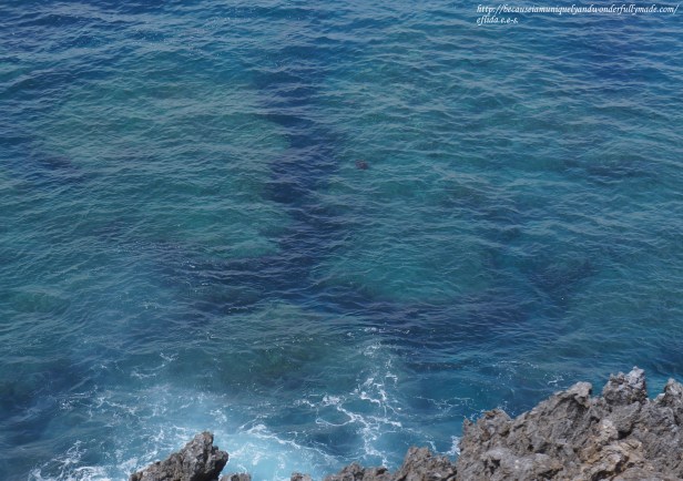 A turtle spotted swimming on the blue-green water of South China Sea as we look out west of Cape Hedo in Okinawa, Japan. 