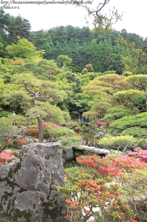 The Japanese garden with ponds and bridges at Ginkaku-ji in Kyoto, Japan. 