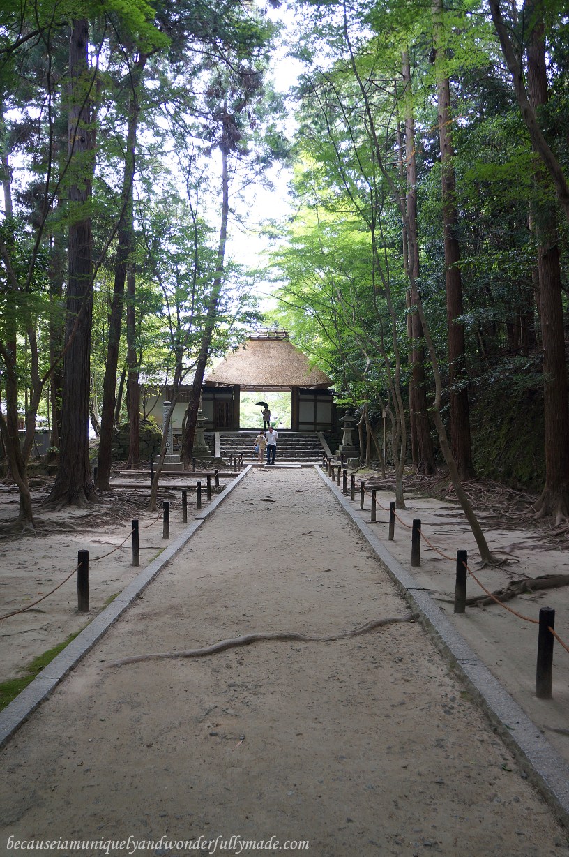 The famous entry to Honen-in Temple in Kyoto, Japan is a thatched gate.