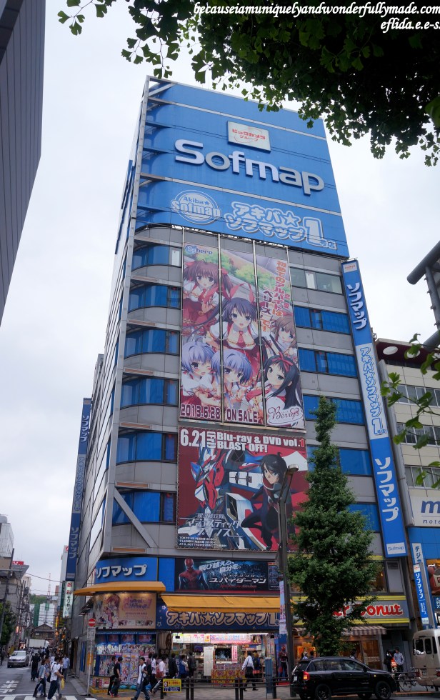 Akihabara, the Electric Town of Tokyo, Japan, started as a black market for vacuum tubes and radio goods. Akihabara, the Electric Town of Tokyo, Japan, started as a black market for vacuum tubes and radio goods.