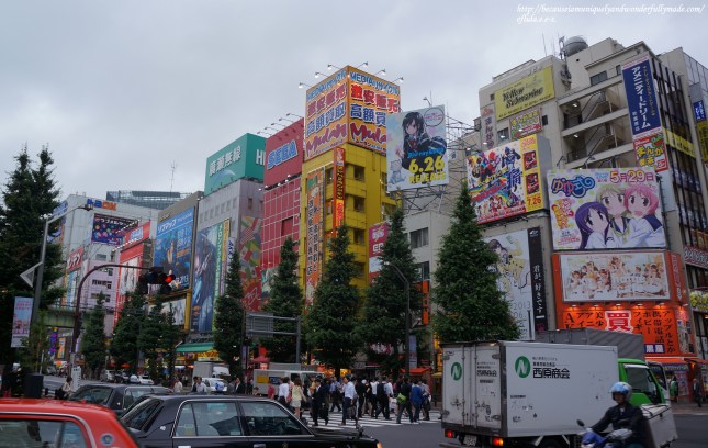The busy street lined with shops in neon lights at Akihabara, the Electric Town of Tokyo, Japan. The busy street lined with shops in neon lights at Akihabara, the Electric Town of Tokyo, Japan.