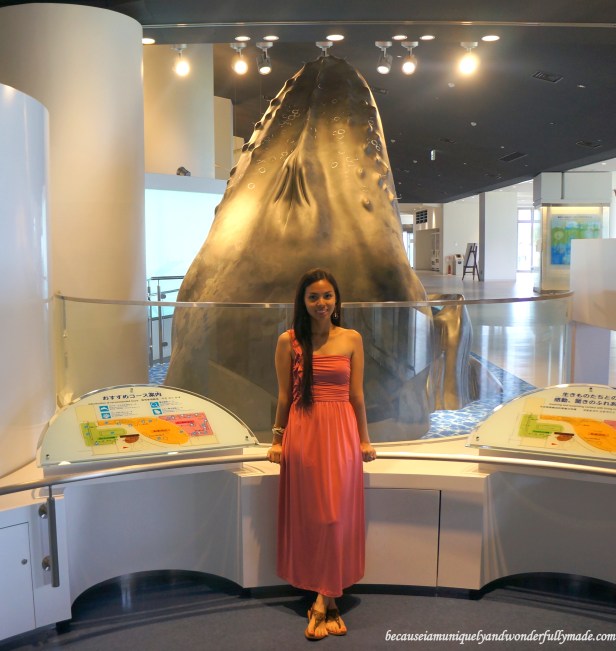 A display of humpback whale at Churaumi Aquarium in Motobu District in Okinawa, Japan. 
