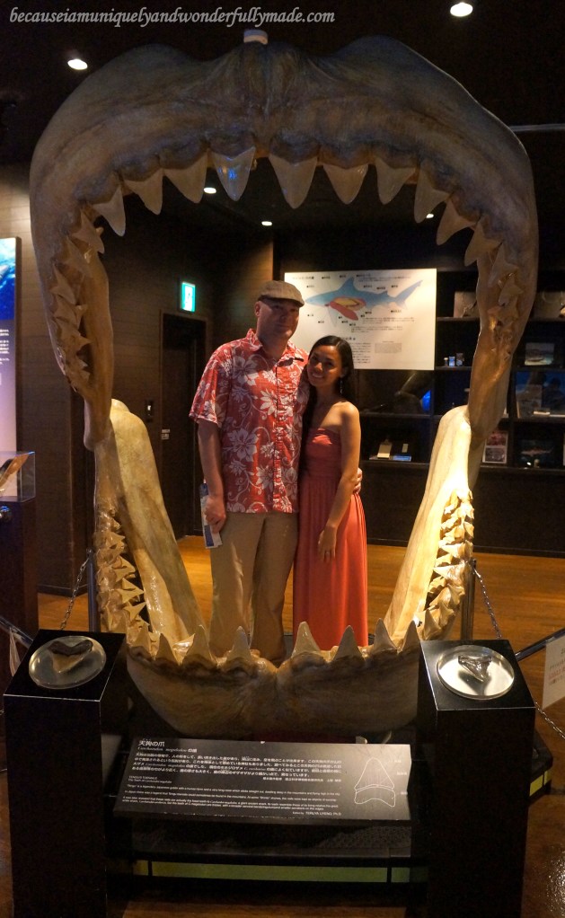 The reconstructed model of the jaw of an extinct 16-meter long shark on display at Churaumi Aquarium in Motobu District in Okinawa, Japan.
