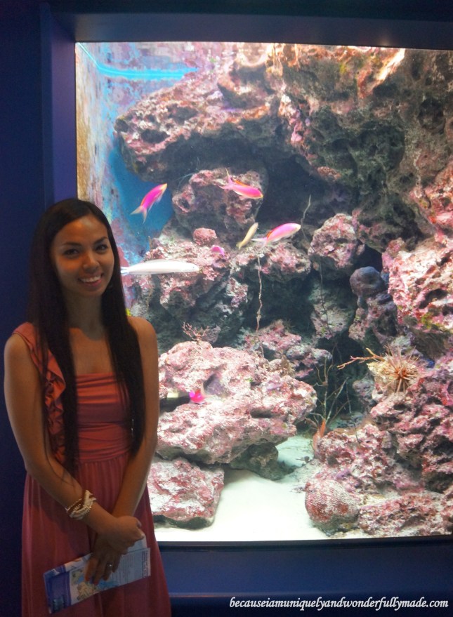 The freshwater tank at Churaumi Aquarium in Motobu District in Okinawa, Japan. 