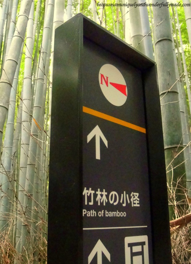 The Path of Bamboo : Sagano Bamboo Forest 嵯峨野竹林 in Arashiyama District in Kyoto, Japan. The Path of Bamboo : Sagano Bamboo Forest 嵯峨野竹林 in Arashiyama District in Kyoto, Japan.