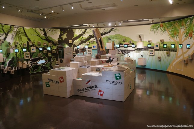 Some of the visual presentations inside the Yanbaru Wildlife Center in Okinawa, Japan. Some of the visual presentations inside the Yanbaru Wildlife Center in Okinawa, Japan.