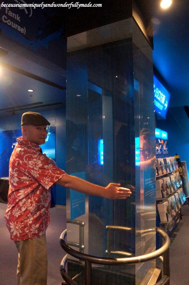 The panel of the giant Kuroshio Sea tank at Churaumi Aquarium is 603mm thick.