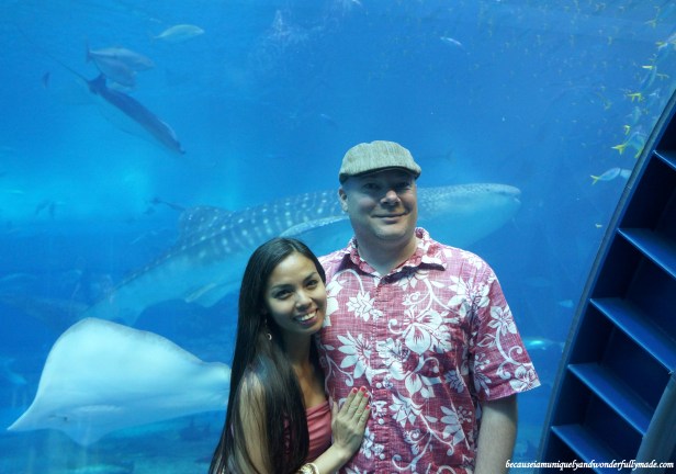 Hubby and I at Churaumi Aquarium in Motobu District in Okinawa, Japan during our anniversary celebration.