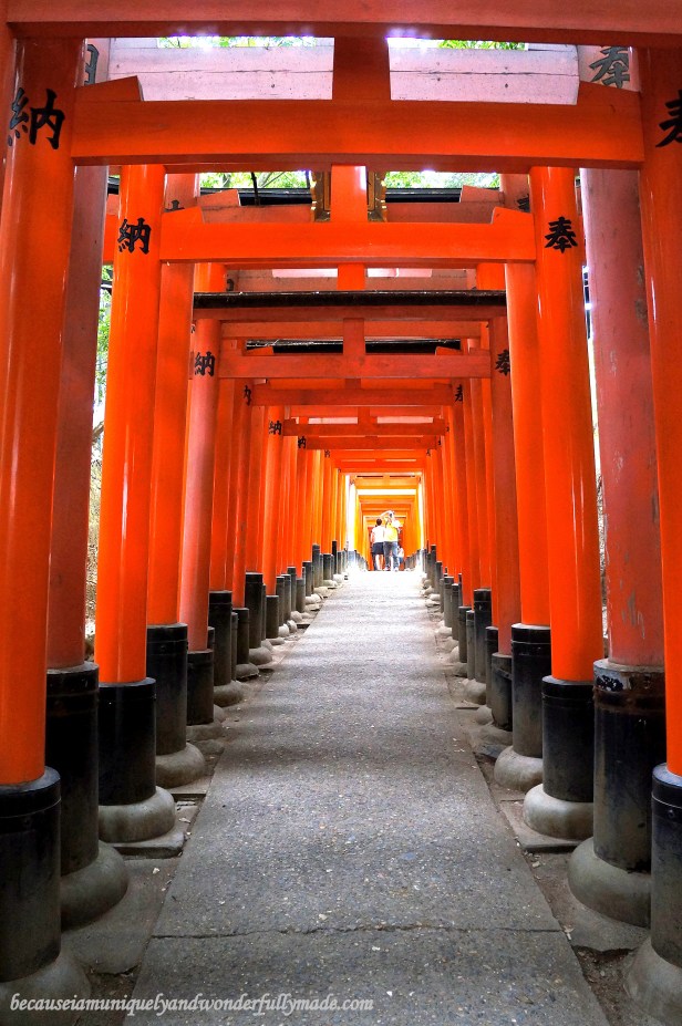 The Senbon Torii 千本鳥居 which means "thousands of torii gates" at Fushimi Inari Taisha in Kyoto, Japan