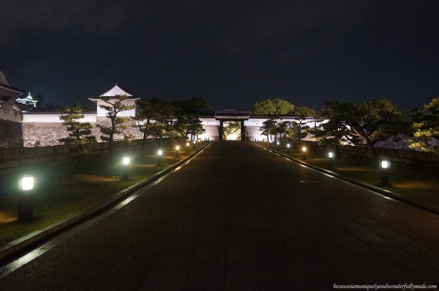The pathway to Osaka Castle 大坂城 at night in Chūō-ku, Osaka, Japan. The pathway to Osaka Castle 大坂城 at night in Chūō-ku, Osaka, Japan.