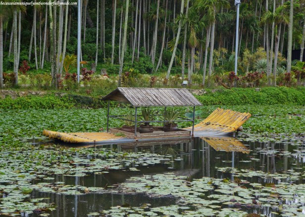 A floating garden on a lotus pond at the Water Park in Southeast Botanical Garden in Okinawa City, Okinawa, Japan. (東南植物楽園 Tōnan Shokubutsu Rakuen)