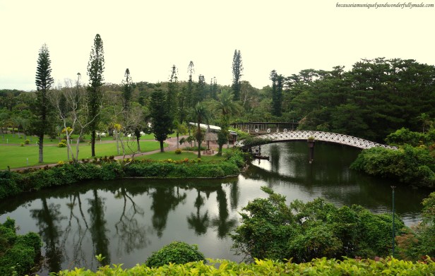 The picturesque view overlooking a pond and a bridge at the Water Park in Southeast Botanical Garden in Okinawa City, Okinawa, Japan. (東南植物楽園 Tōnan Shokubutsu Rakuen)