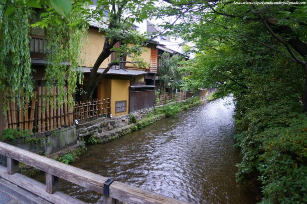 Shirakawa River 白川 at Gion District in Kyoto, Japan. 