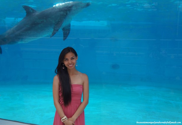 Most enjoyed by kids is the dolphin lagoon where they can see the smart dolphins up close and personal at Ocean Expo Park in Motobu, Okinawa, Japan. 本部 朝基 , 沖縄県 . Most enjoyed by kids is the dolphin lagoon where they can see the smart dolphins up close and personal at Ocean Expo Park in Motobu, Okinawa, Japan. 本部 朝基 , 沖縄県 .