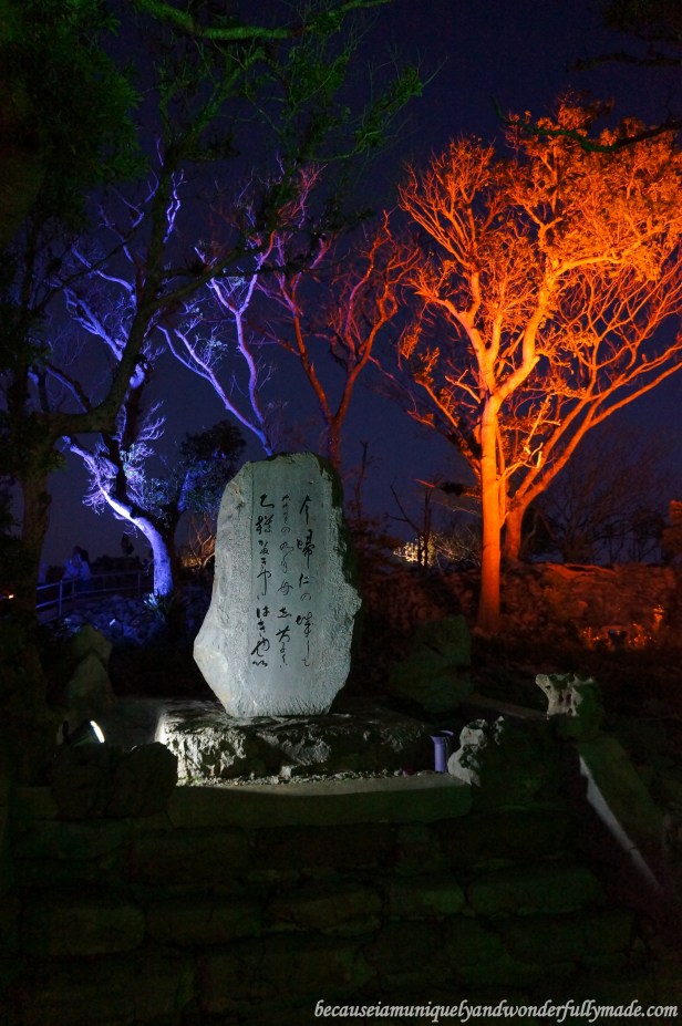 Colorful lights illuminating the Nakijin Castle Courtyard 今帰仁城 during a Cherry Blossom (Sakura) 桜 in Okinawa, Japan.