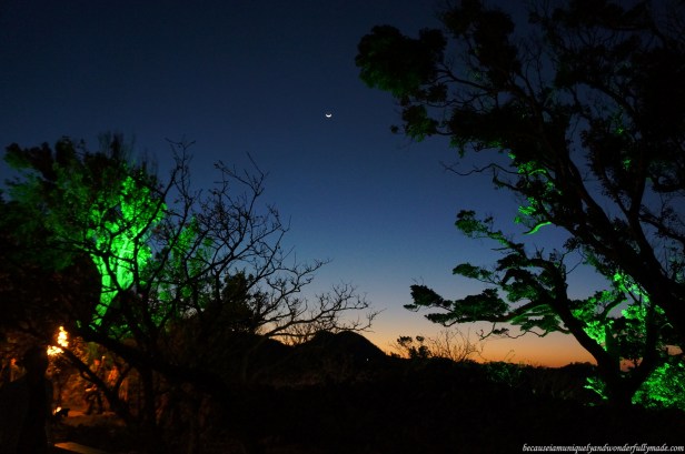 Nakijin Castle Illumination 今帰仁城 during a Cherry Blossom (Sakura) 桜 in Okinawa, Japan.