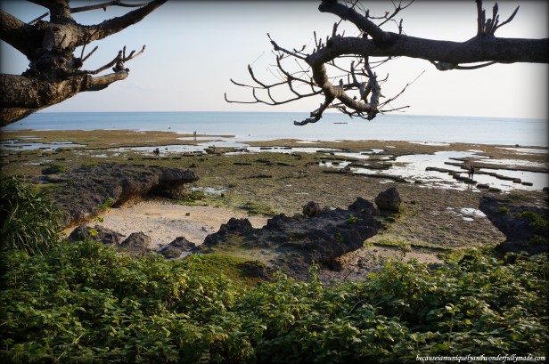 Cape Zanpa shore on a low tide.