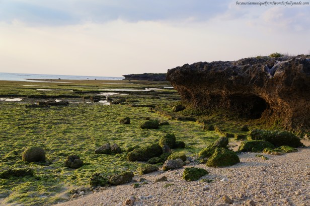 Another view of Cape Zanpa shore on a low tide.
