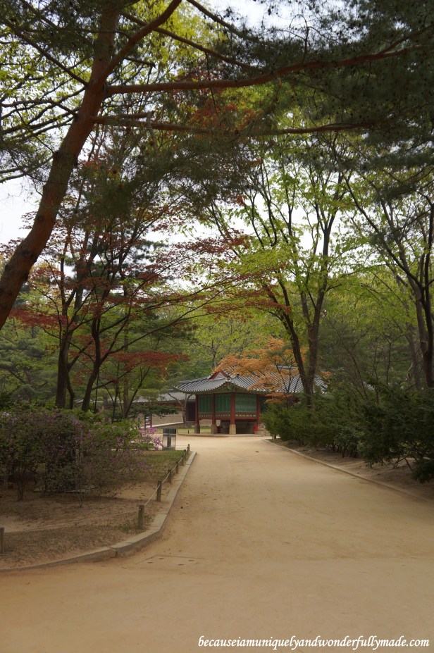 A solemn walk around Jongmyo Shrine 종묘대제 in Seoul, South Korea.