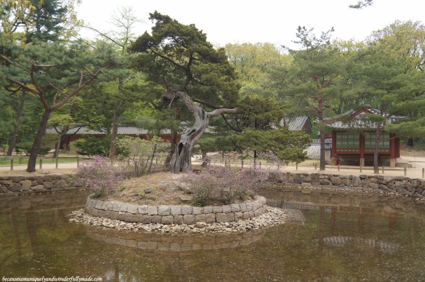 The pond on the right side of the entrance of Jongmyo Shrine 종묘대제 in Seoul, South Korea.
