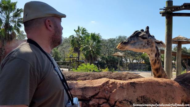 12916783_10154174966739828_6402388476686823305_o