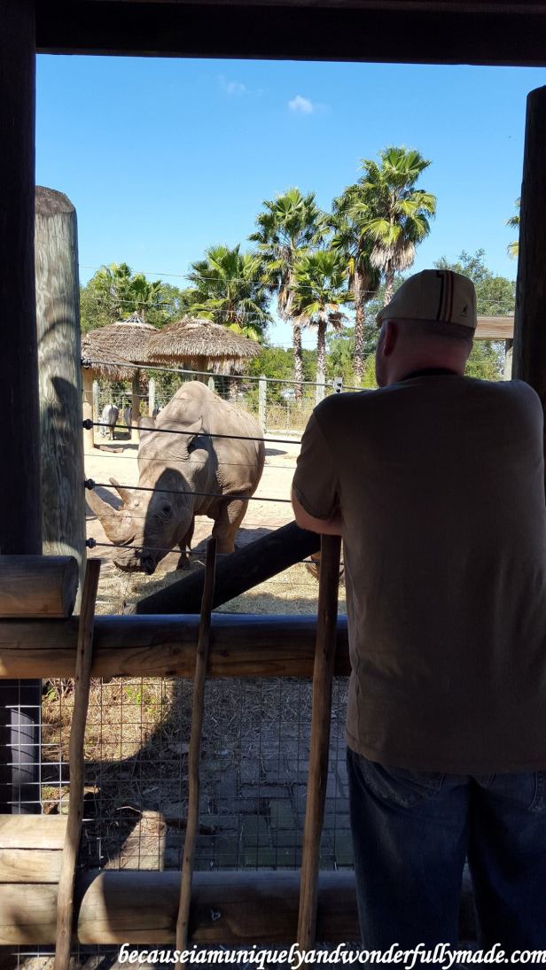 12973339_10154174967054828_1215262598739858567_o