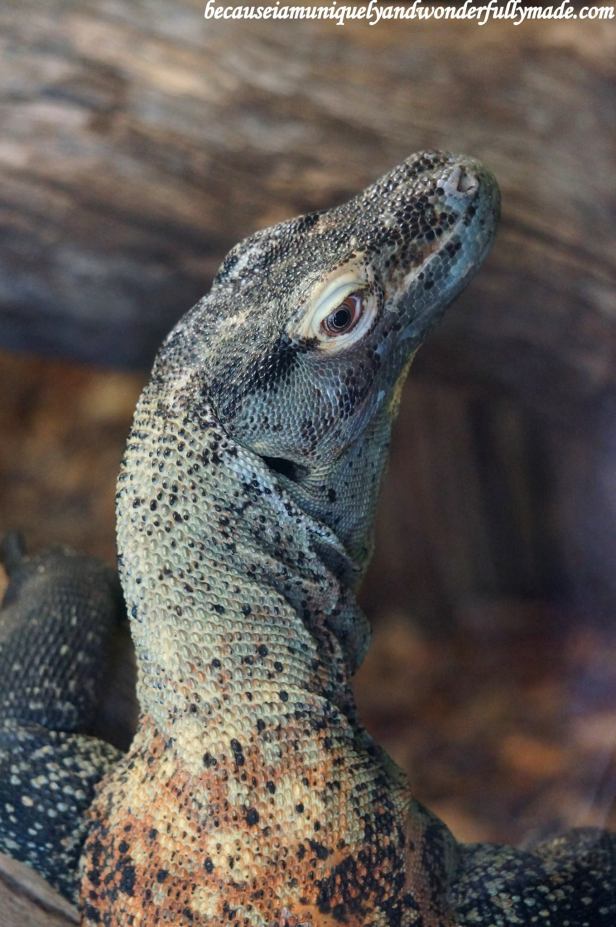 12983840_10154174968389828_584746459077251156_o